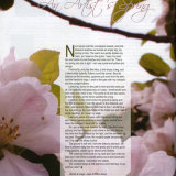 Published in March-April 2010 Publication of Welsh Country Magazine