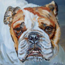 bulldog