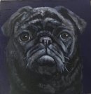 Watson.  Pug
