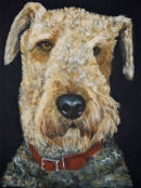 Airedale.    Hector in his red collar