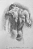 Study for Torso, Back II