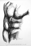 Male Torso III