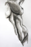 Study for The Beauty of Form