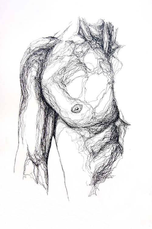 Male Torso I
