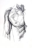 Male Torso I