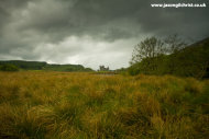 Kilchurn Castle across the bog