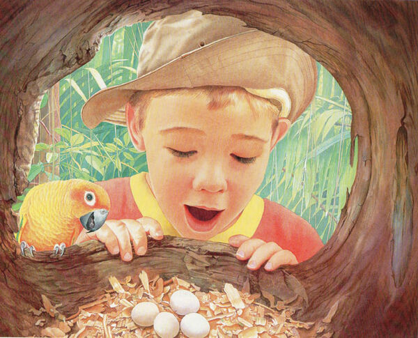 From 'Jungle Joe'