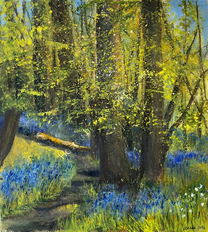 Bluebell Wood Middleton Ilkley