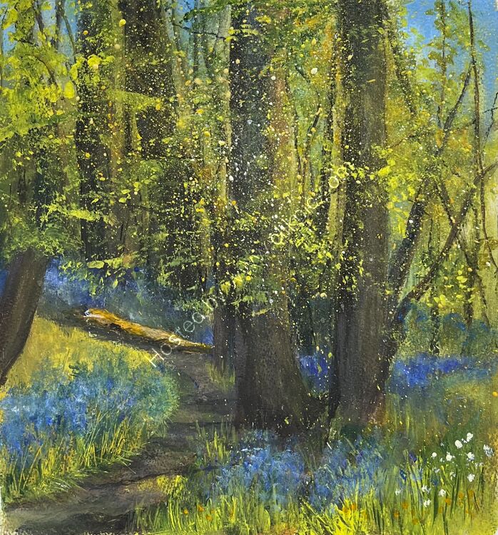Bluebells in Middleton Woods Ilkley