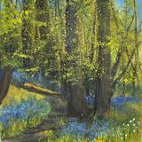 Bluebells in Middleton Woods Ilkley
