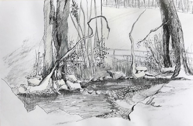 Stream in Nidderdale pen and charcoal