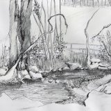 Stream in Nidderdale pen and charcoal