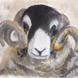 Swaledale ram's head