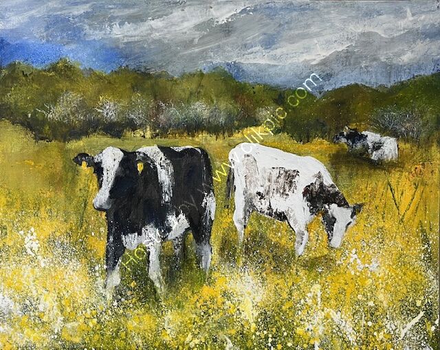 'Cows with Cow Parsley and Buttercups' Acrylic A3 size on board