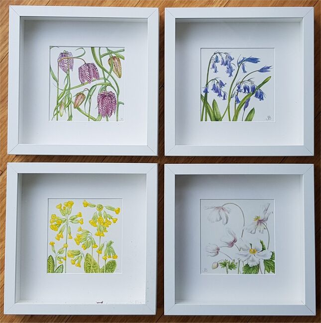 Set of 4 Spring Flowers