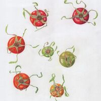 Rosehips