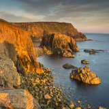 Golden tranquillity