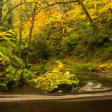 Round the bend