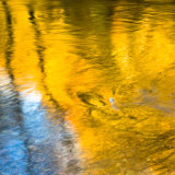 Abstract autumn