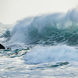 Wild waves