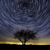 Lone tree trails