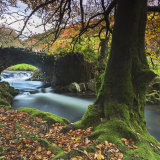 Autumn at Robber's Bridge