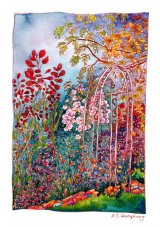 *Alison's Garden 3