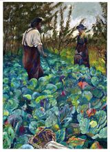 *Cabbage Patch after Melville