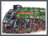 *Mallard75 UoSA