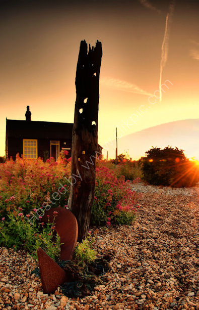 Prospect Cottage