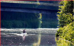 H.C.1.Rest now.. Dave Ross, Judge: Alan Porrett.