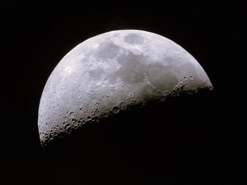 H.C. Half a moon. Janet Long. Judge: Rob Butler,.