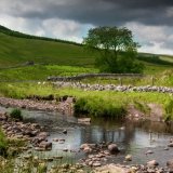 Coquet Valley