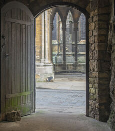 H.C.Door.6 Chris Whittle: Judge: Alan Porrett.