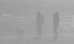 3rd. Cannot see a thing. John Stephenson. Judge: Stephen Fowler,