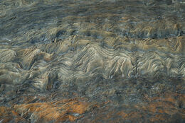 3rd. Layers. John Stephenson. Judge: John Humphries.