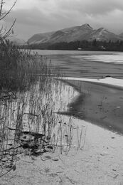 H.C. Frosty morning Derwentwater. David Gray. Judge: Stephen Fowler.