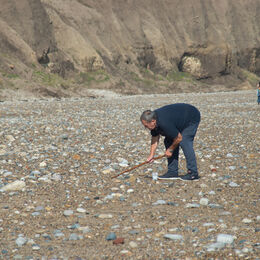 Activity - Beachcombing