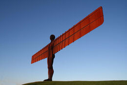 2nd. Angel at sunrise. David Gray. Judge: Alan Wilson.