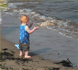3rd. Apprentice Canute. Dave Ross, Judge: John Humphries.