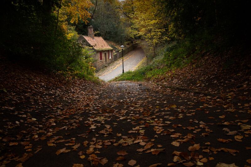 1st.Autumn colours. Peter Lee. Judge: Arjun Nambiar