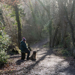 BACKLIGHT: Nice rim lighting on both figure and dog with light streaming in. Foreground perhaps a little burnt out.