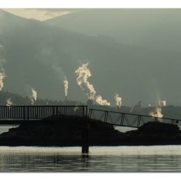 2nd. Bridge silhouette. Pat Griffin. Judge:Ray Bell.