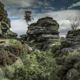 2nd. Brimham Rocks. Brian Nattrass. Judge: Mavis McCormack