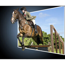 Clear Round