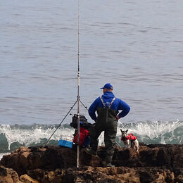 Fishing companion