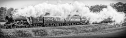 Flying Scotsman mono
