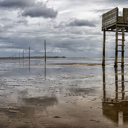 H.C. Holy Island Causeway. Ray Bell. Judge: Mavis McCormack.