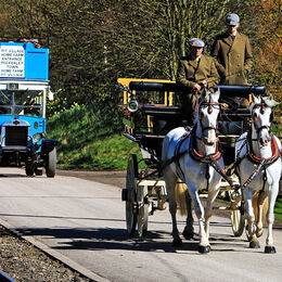 Horse Power