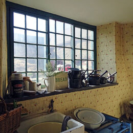 Kitchen window